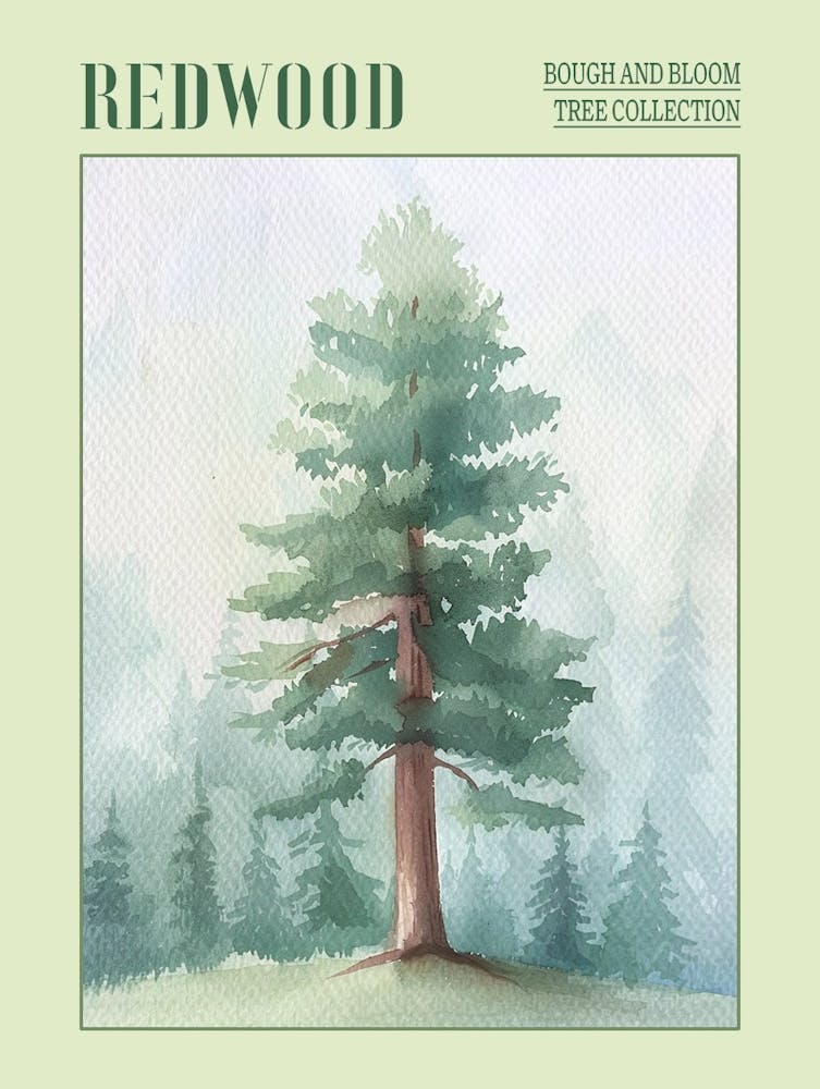 Redwood Tree Atmospheric Watercolour Painting 4 Poster