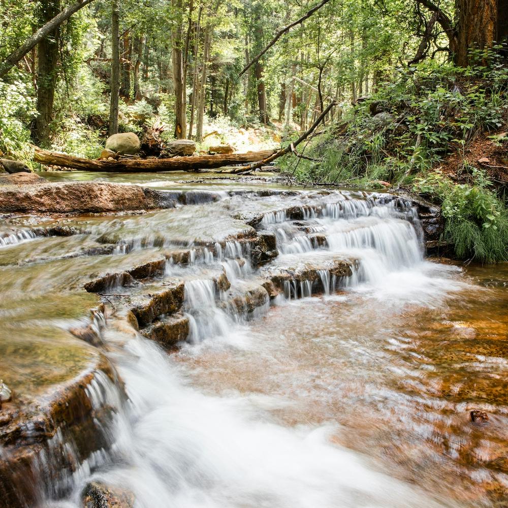Forest Waterfall Square