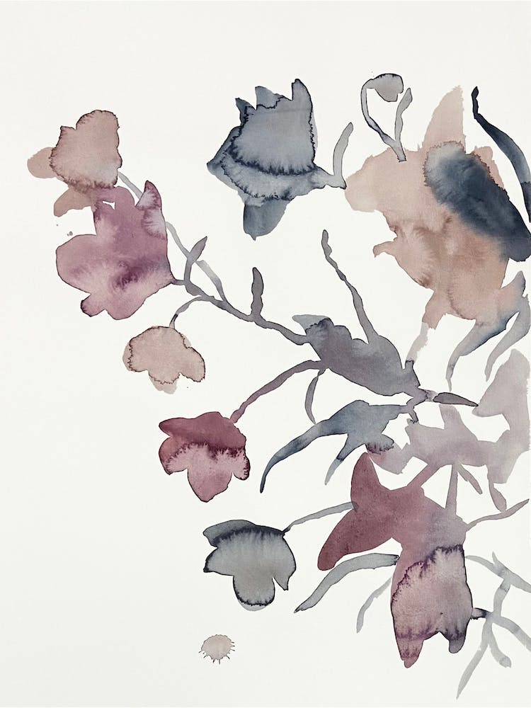 Shadow Study 1