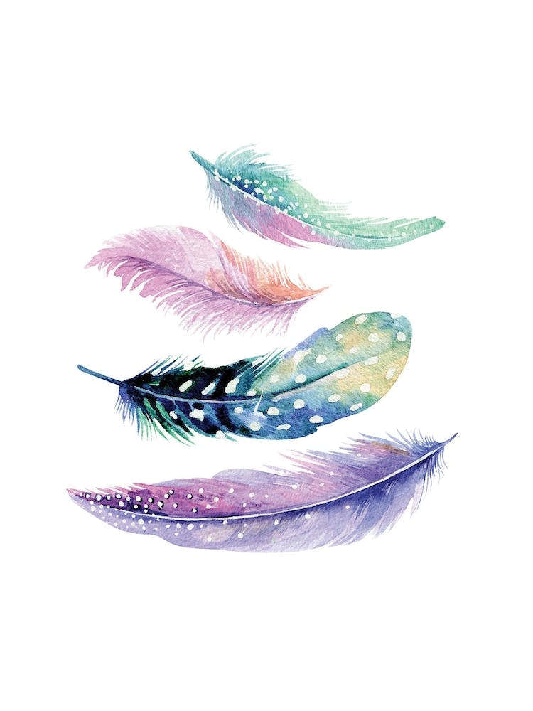 Pink and Mint Feathers