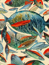 Arte per il Biologo Marino