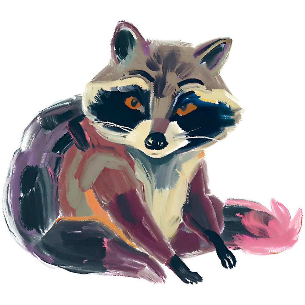 Raccoon 01