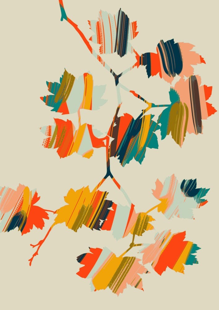 Colorful Hanging Maple Leaves