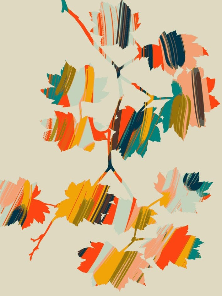 Colorful Hanging Maple Leaves