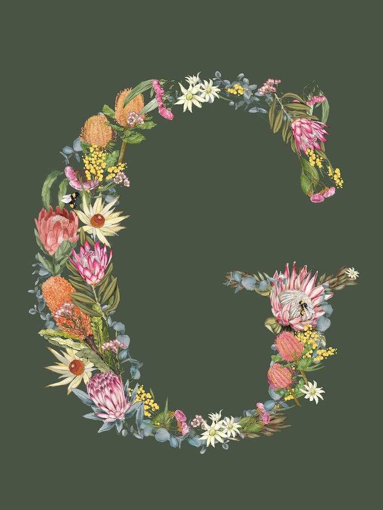 G Olive Alphabet Letter