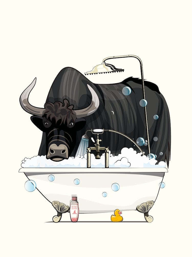 Yak In The Bath