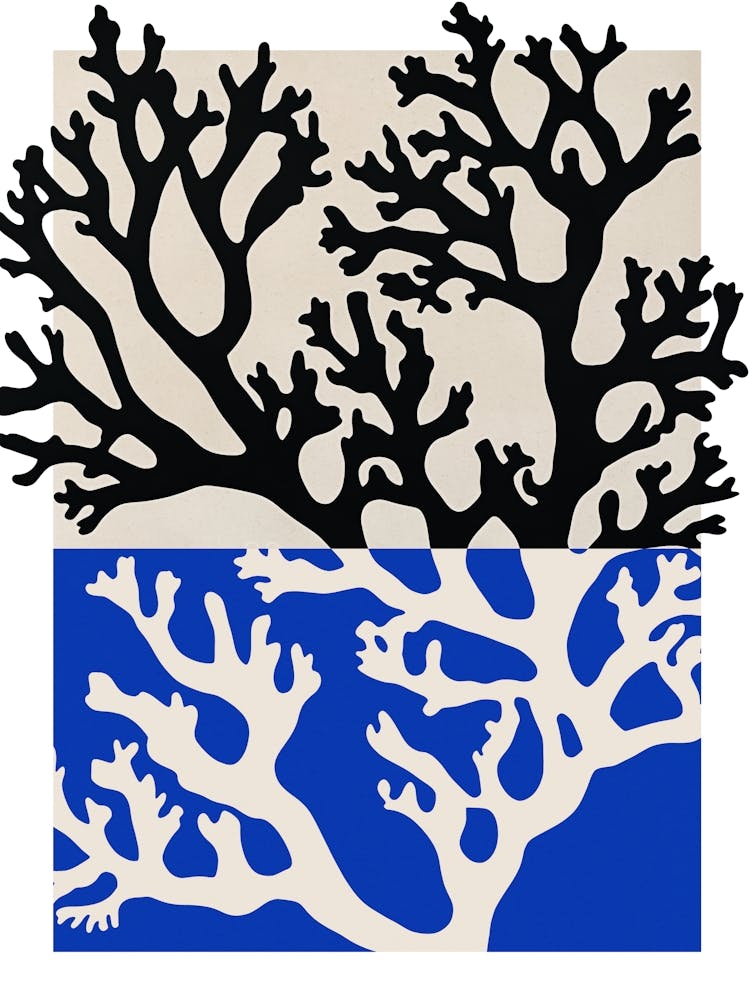 Coral Blue