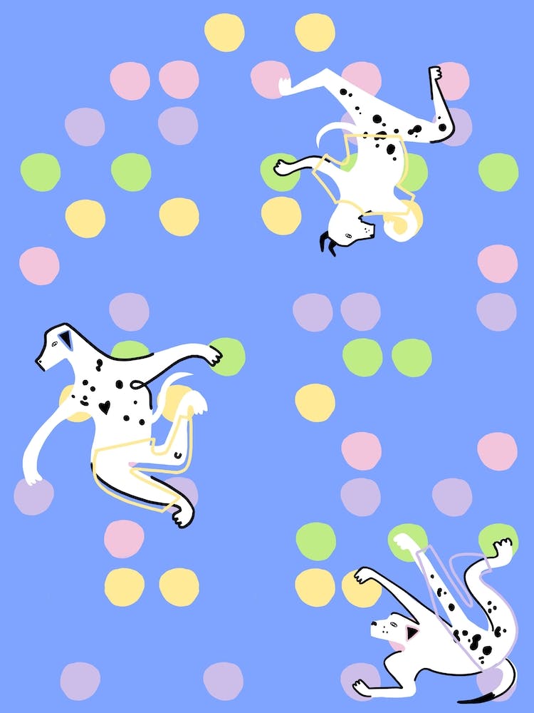 Party Dog