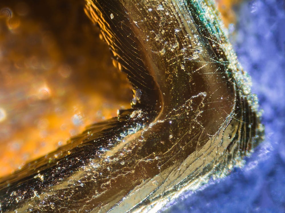 Credit Card Number Under The Microscope 1