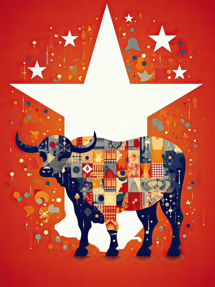 Stardust Cowboys: Texas Pop Art Saga