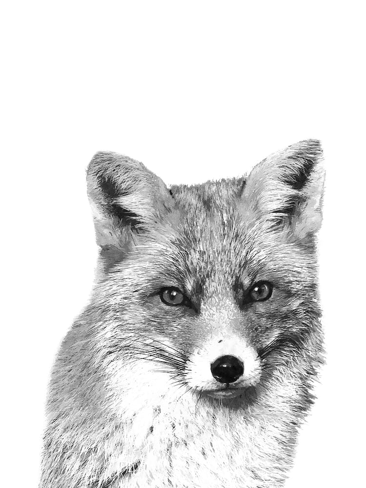 Black and White Fox Watercolor
