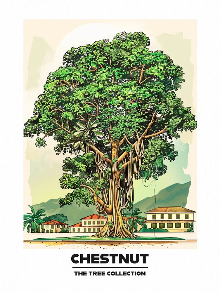 Chestnut Tree Storybook Illustration 3 Poster