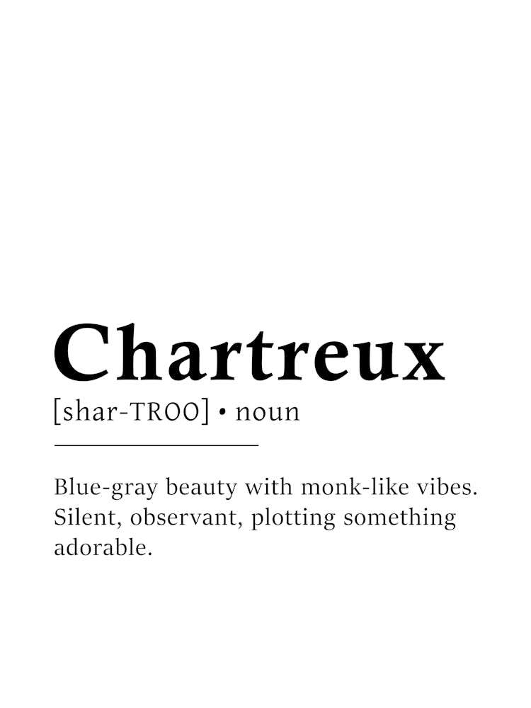 Chartreux Definition Poster - Dictionary