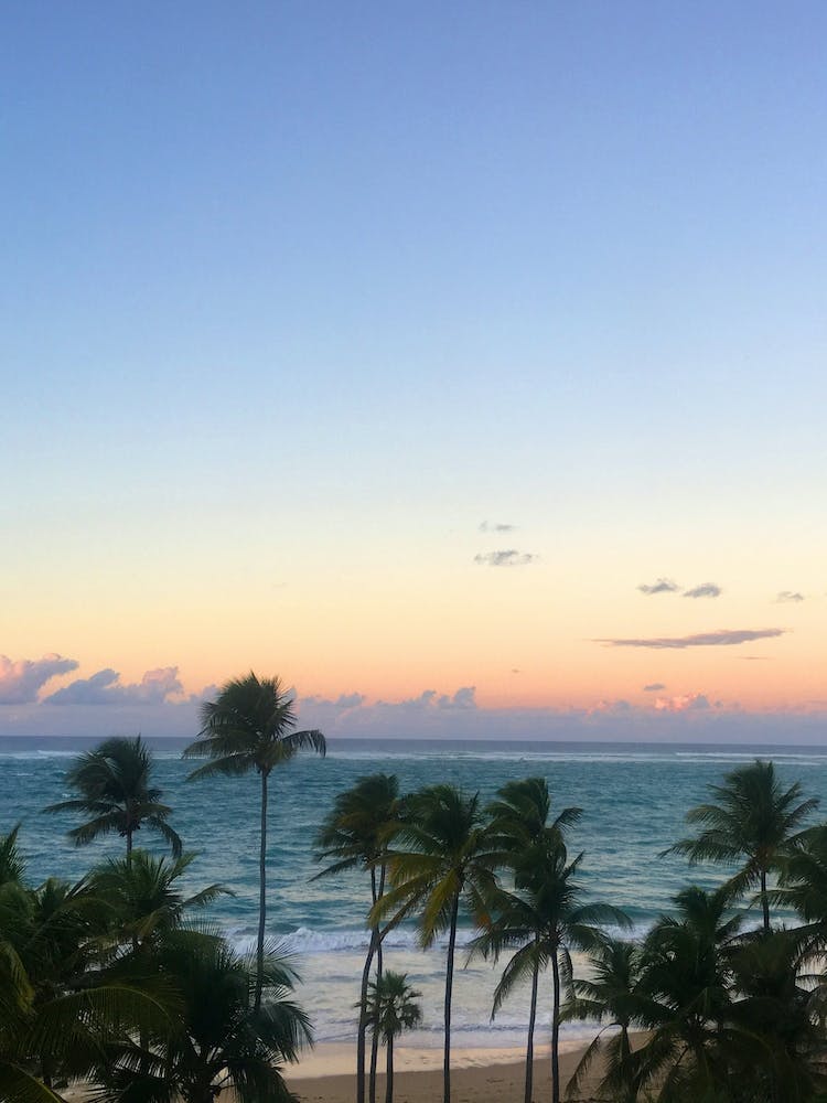 Ocean Views in Puerto Rico - Vertical