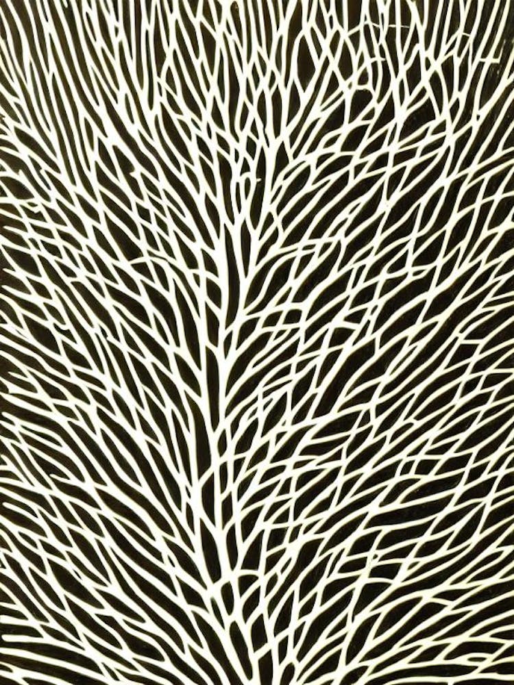 Acropora Palifera Ii Linocut