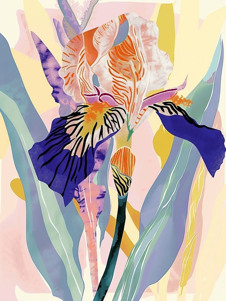 Colourful Flower Illustration Iris 2