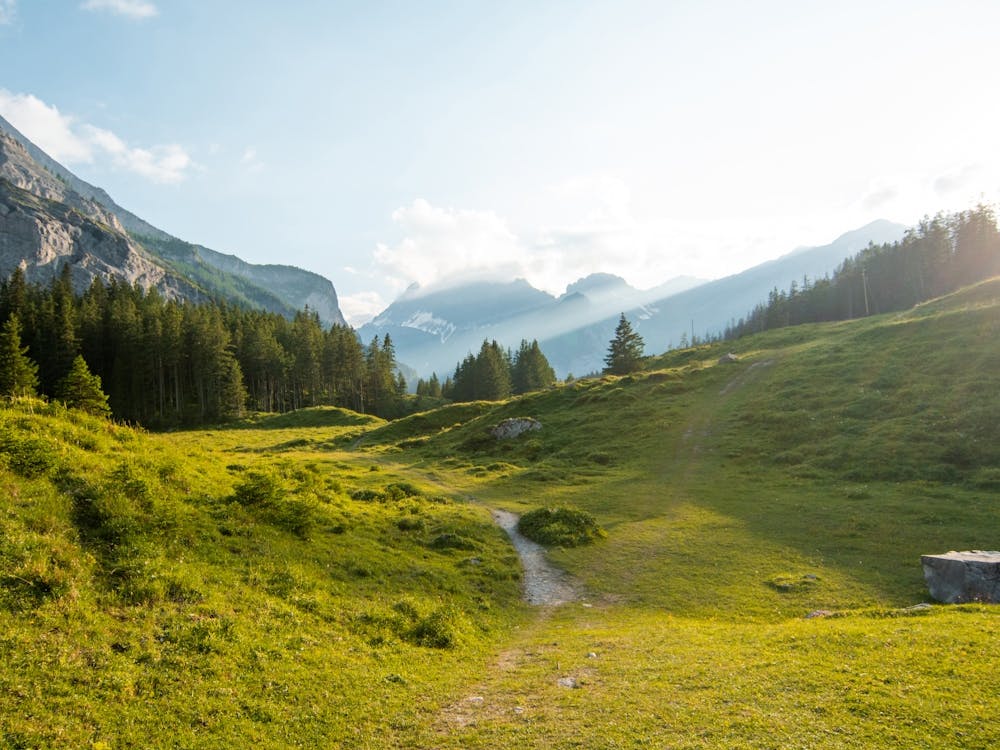 Fields of Switzerland during golden hour, hiking in swiss