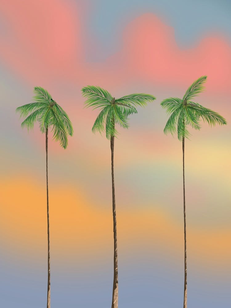 Palm Trees at dusk.