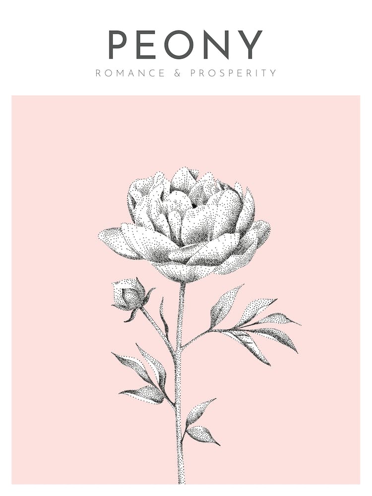 Pfingstrosen-Druck Modernes Blumenposter Bamber Prints