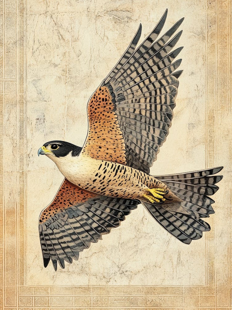 Falcon In Flight