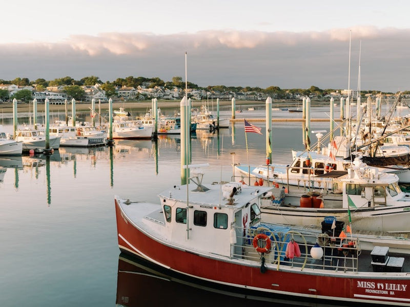 Provincetown Boats