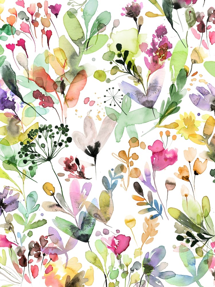 Wild Grasses Collection Iii