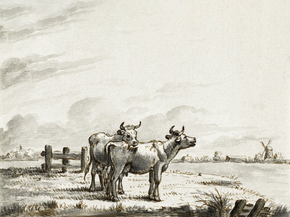 Two Cows In The Pasture, Jean Bernard