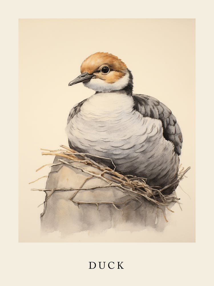 Beatrix Potter Inspired  Animal Watercolour Duck 2