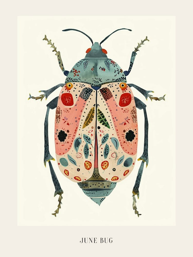 Colourful Insect Illustration June Bug 14 Poster