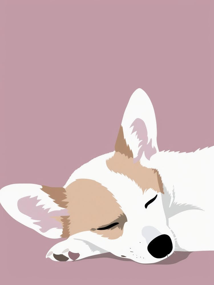 Corgi Sleeping