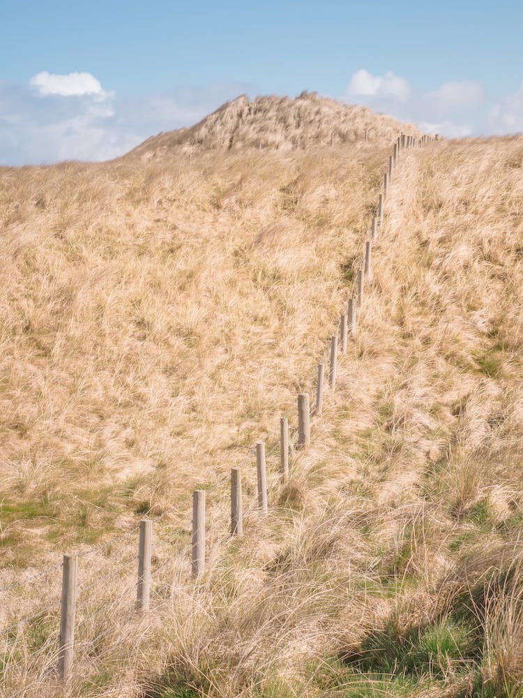 Fence And Dunes