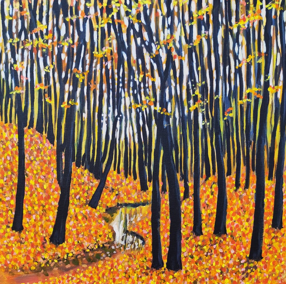 Autumn Forest