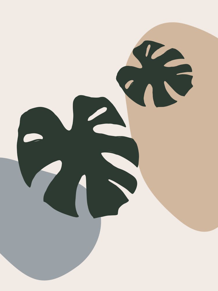 Monstera Leaves