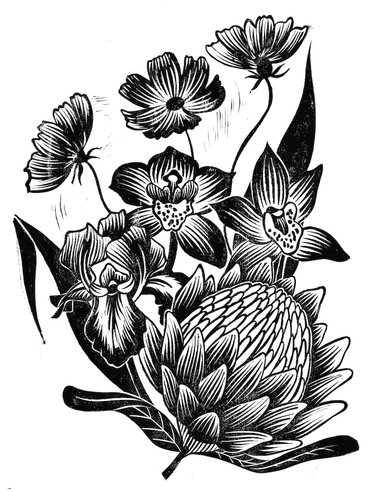 Protea