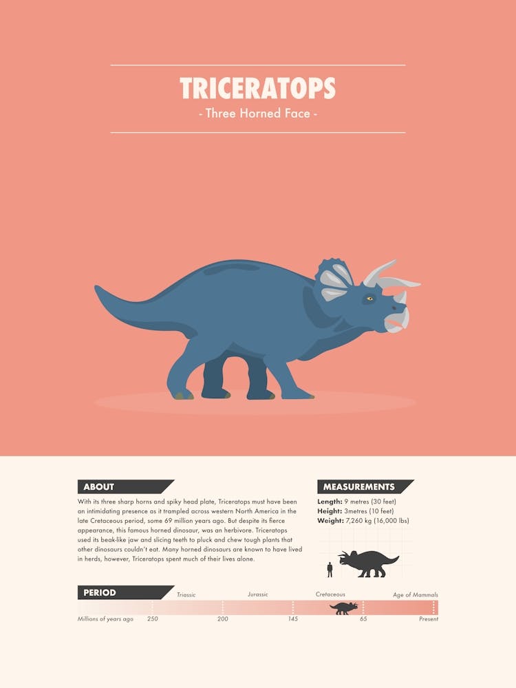 Triceratops - Dinosaur Fact