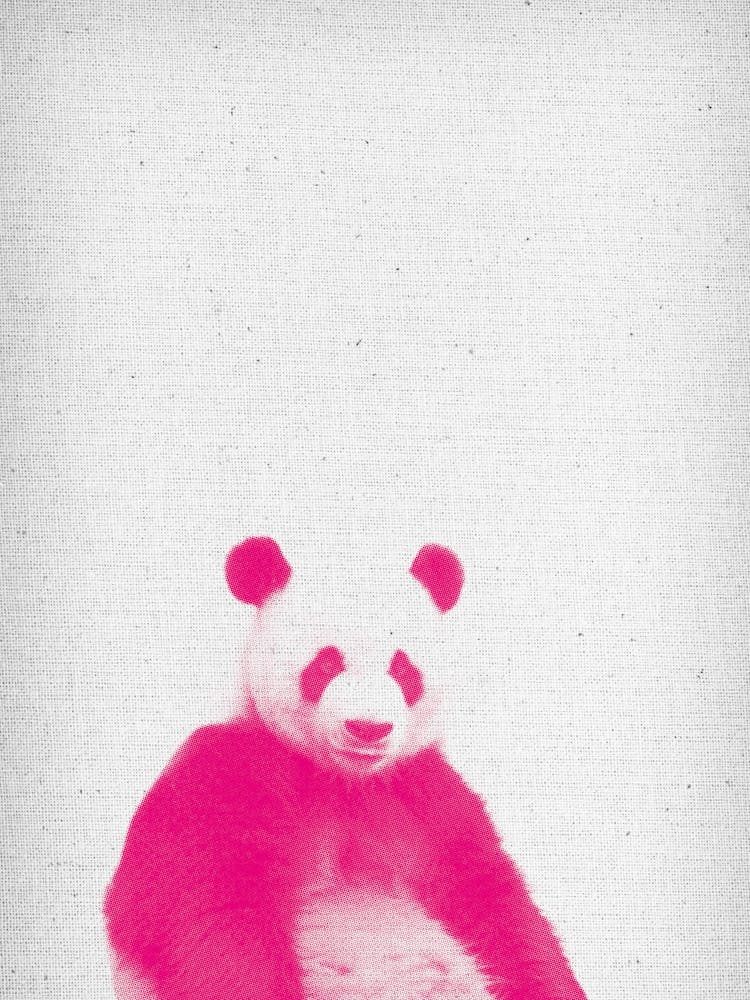 Frolein Panda II