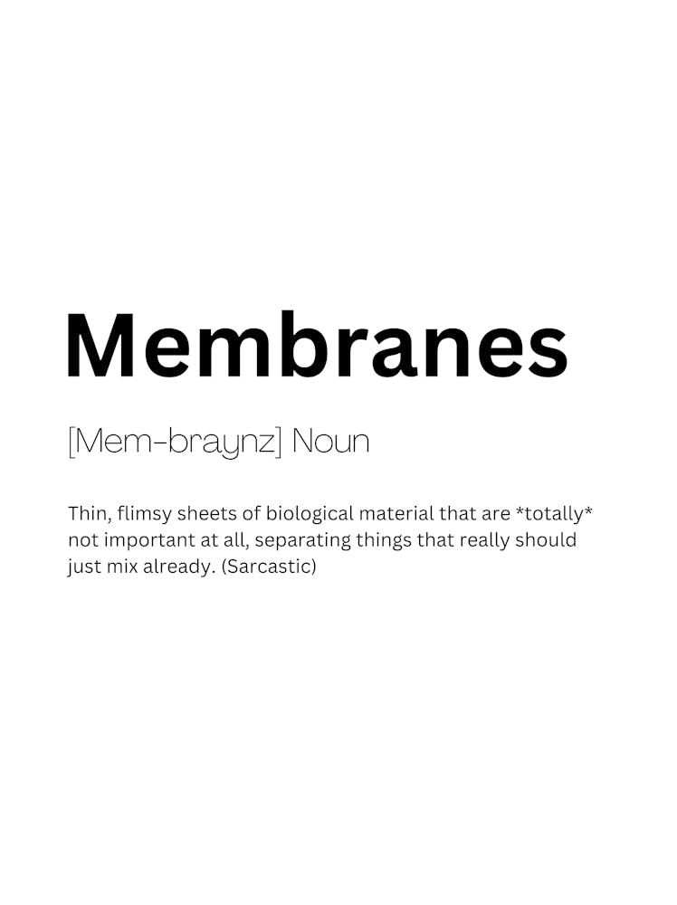 Membranes Definition Meaning