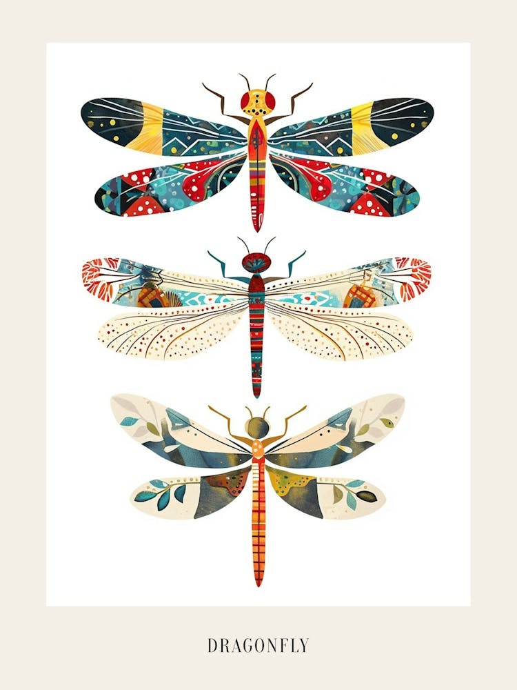 Colourful Insect Illustration Dragonfly 1 Poster