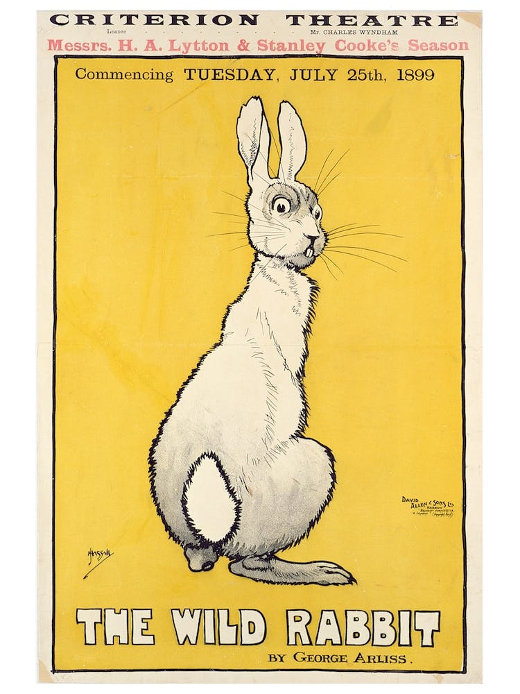 The Wild Rabbit Nursery