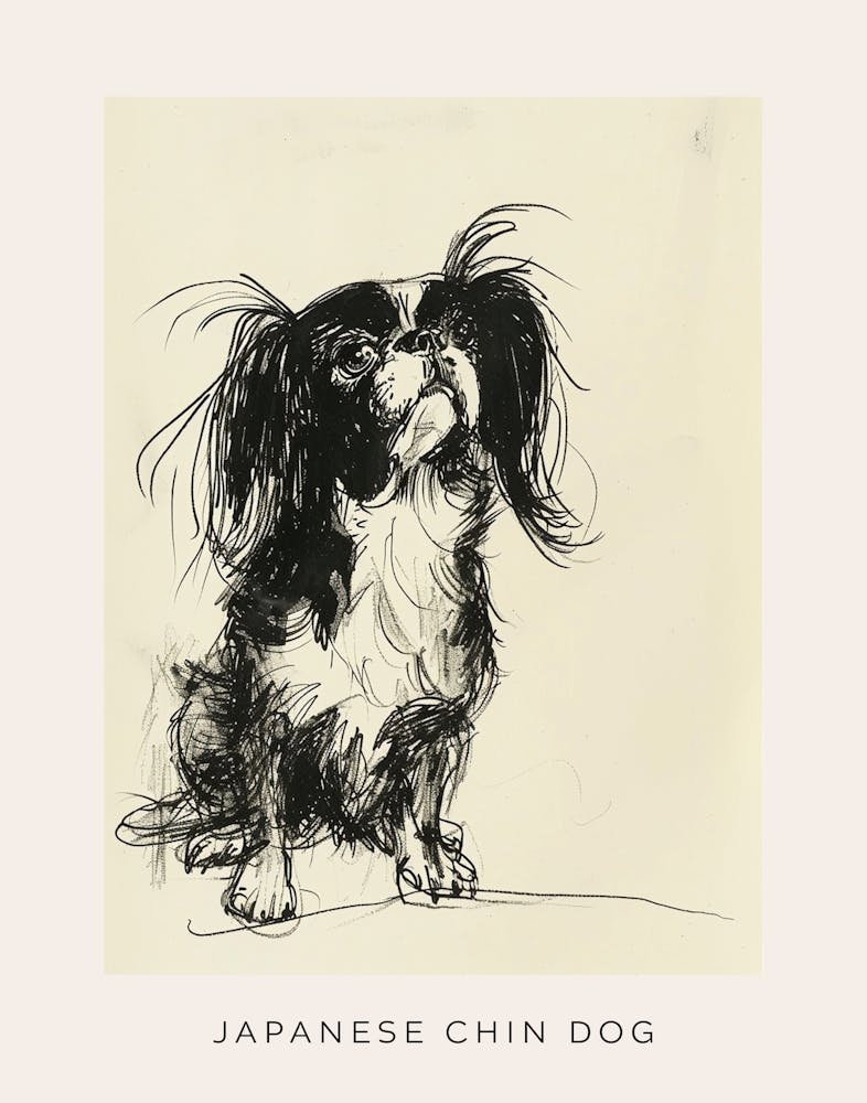 Japanese Chin Croquis au trait 1 Affiche
