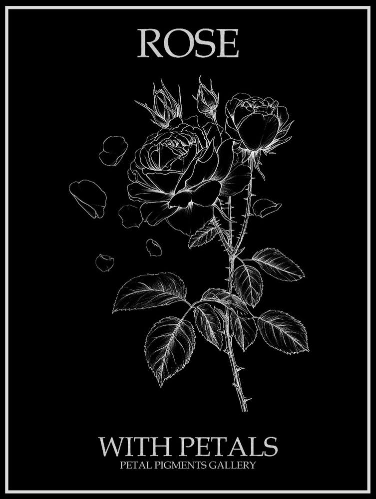 Rose With Petals Line Drawing 2 Poster Inverted