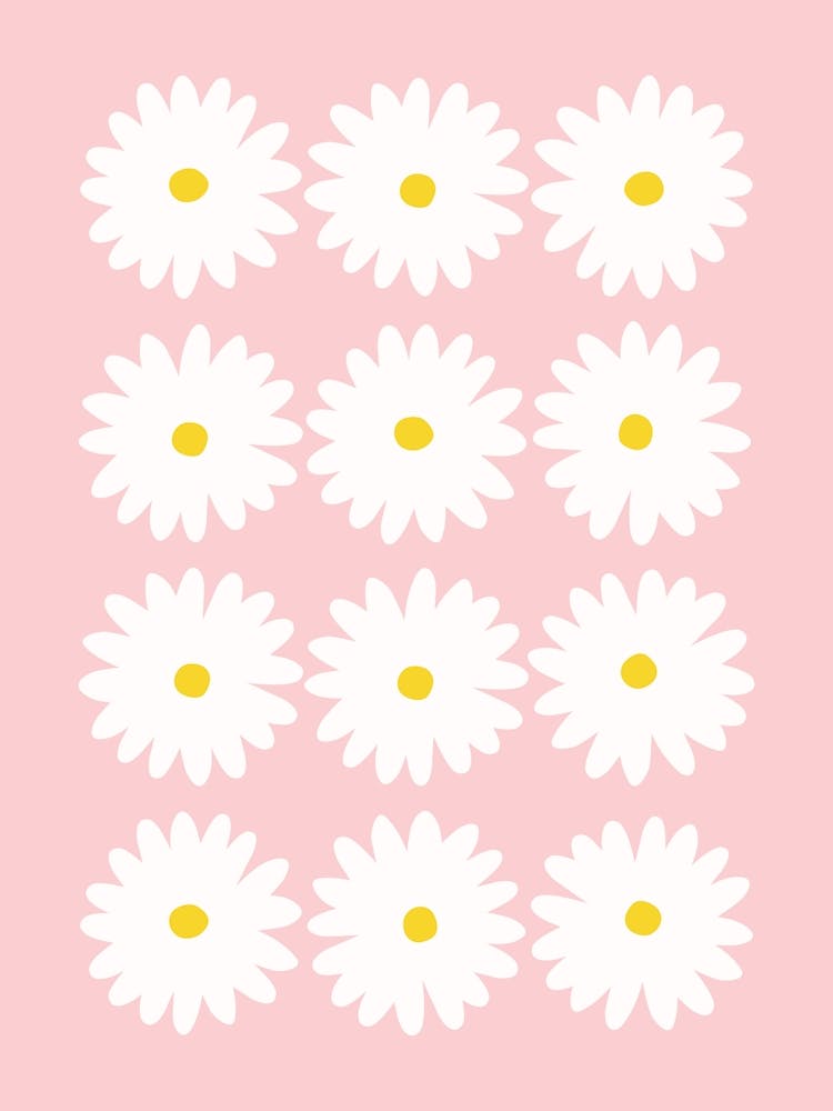 Daisy Pink