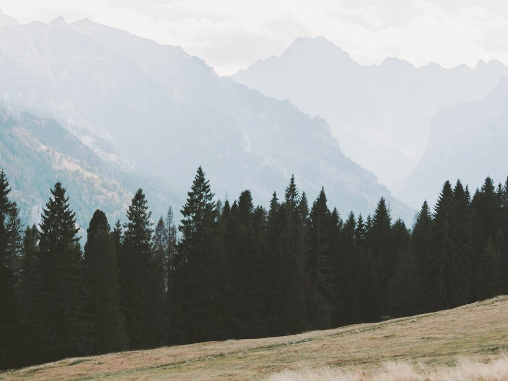 Montana Scenery