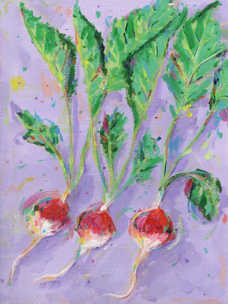 Radishes 1