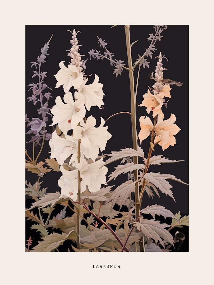 Flower Illustration Larkspur 1 Poster