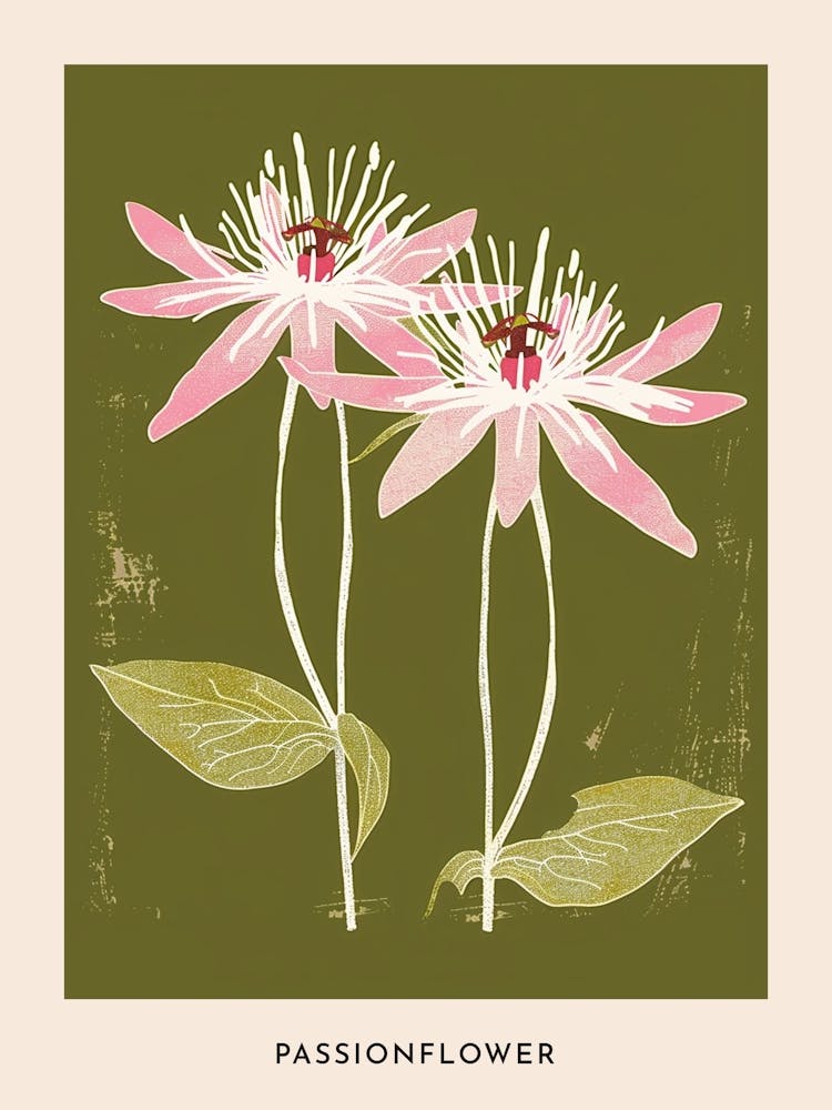 Pink & Green Passionflower 3 Flower Poster