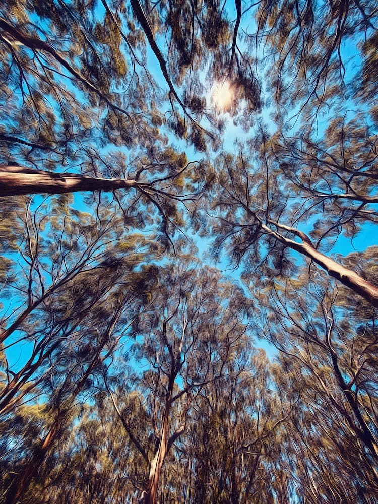 Busch-Blätterdach Australien