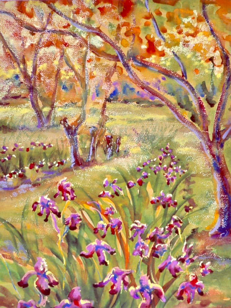 Iris Garden