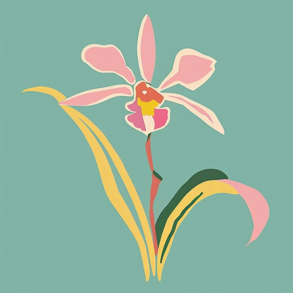 Monkey Orchid 3 Square Flower Illustration