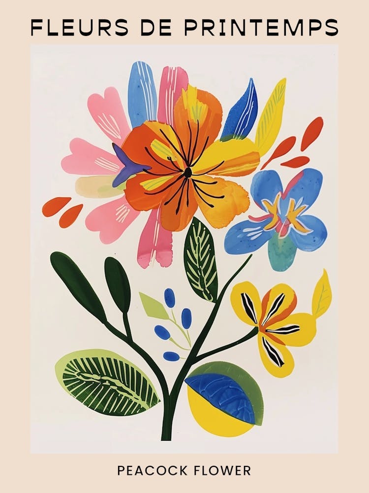 Spring Floral French Poster  Peacock Flower 4